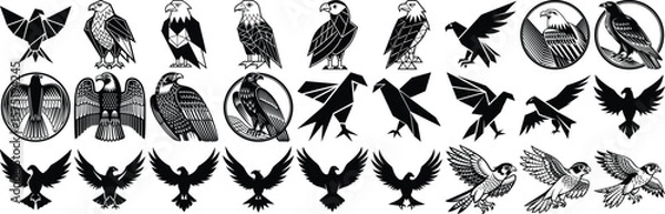 Obraz Diverse set of black and white eagle illustrations featuring varied design styles for graphic design elements