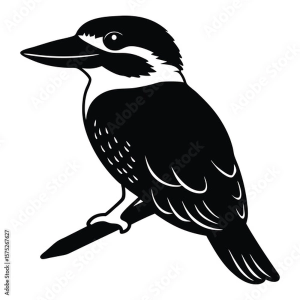 Obraz kookaburra silhouette white background vector art.