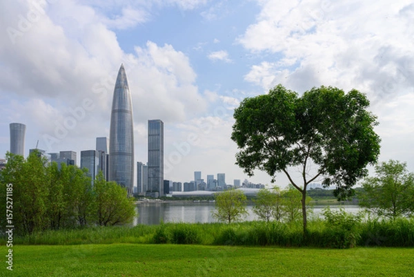 Obraz The Cityscape of Shenzhen, China