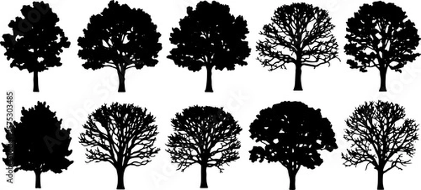 Obraz Set of Tree Silhouettes – Vector Illustrations of Deciduous Trees with Leaves and Bare Branches for Nature, Landscape, and Environmental Design Projects