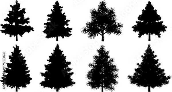 Obraz Collection of eight distinct black silhouettes of evergreen trees showcasing varied shapes and needle textures against a clean white background