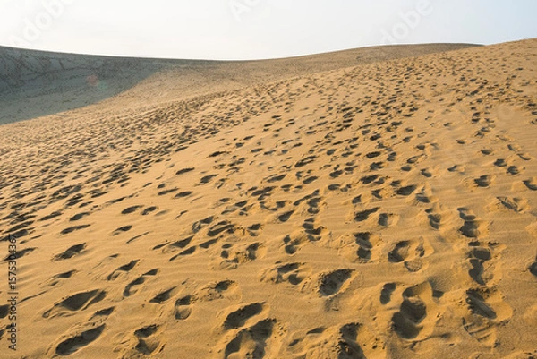 Obraz 夏の鳥取砂丘の風景 鳥取県 鳥取砂丘