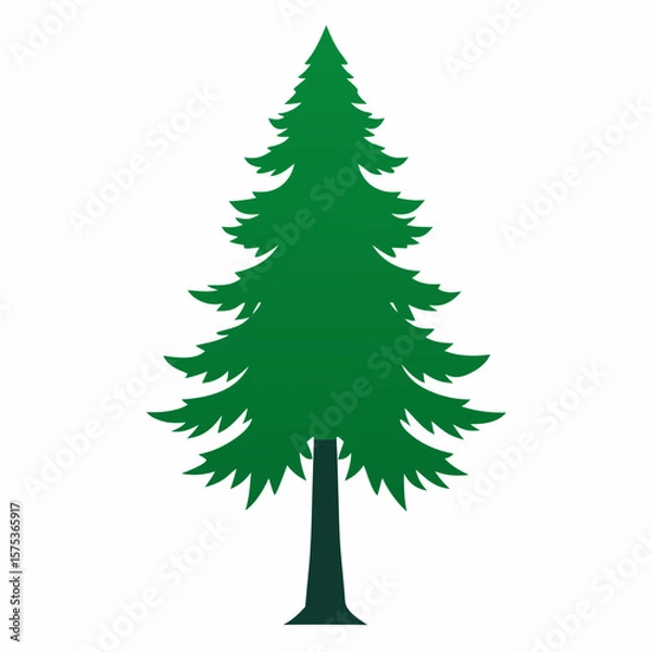 Obraz christmas tree isolated on white