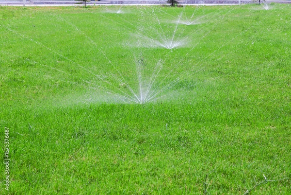 Obraz Lawn is being watered by sprinklers. The grass is green and lush. The sprinklers are spread out across the lawn, with some closer to the foreground and others further back