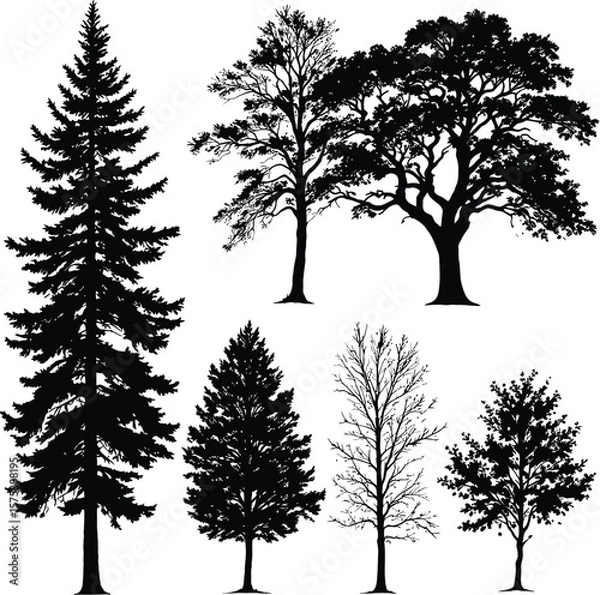 Fototapeta Tree Diversity Silhouette Collection Featuring Six Unique Black Line Art Trees with Varied Branch and Leaf Forms