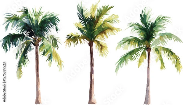 Obraz Watercolor Illustration of Three Palm Trees Isolated on a White Background