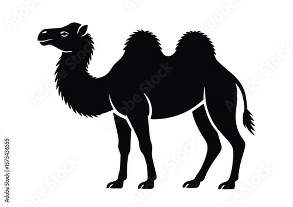 Fototapeta Elegant silhouette of a camel, a majestic desert animal, presented in a clean vector style illustration for creative applications.