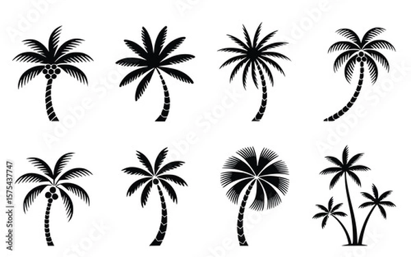 Fototapeta Collection of exotic palm tree silhouettes provides an array of tropical island vibes with vector elements, perfect for summer designs.