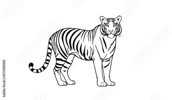 Fototapeta Black and White Line Art of a Standing Tiger in Side View