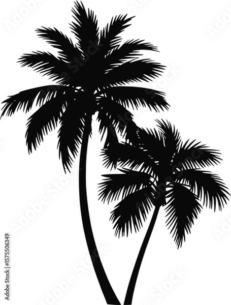 Obraz Tropical palm trees silhouette black white