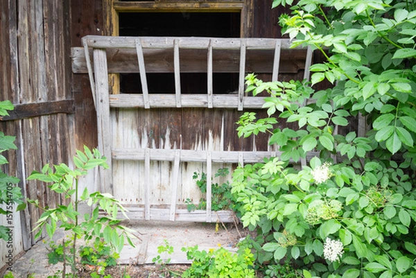 Fototapeta A wooden structure with a window and a wooden fence