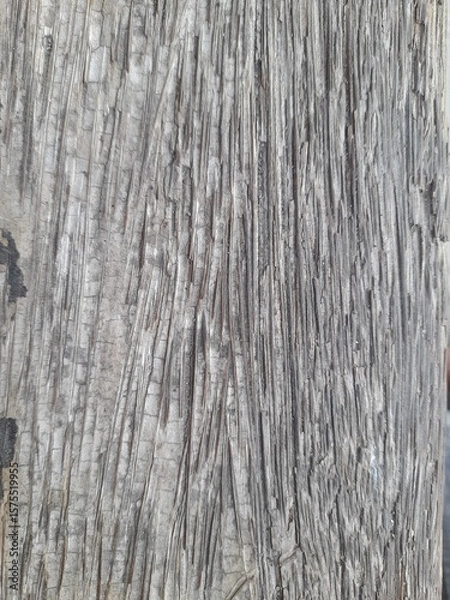 Fototapeta Close-up of rough, weathered tree bark with vertical grooves and a textured, aged surface in shades of gray and brown.

