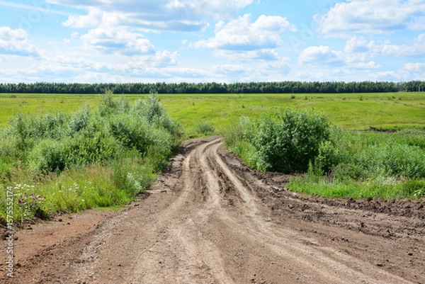 Obraz Dirt road through a green field going down the hill with a blue sky and fluffy clouds