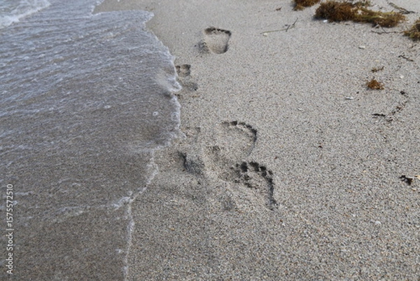 Fototapeta footprints in the sand with ocean wave