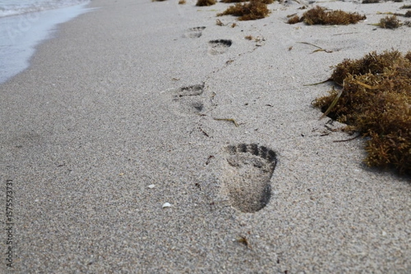 Fototapeta Chain of footprint in the sand