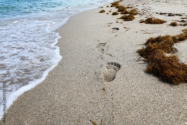 Fototapeta Chain of footprint in the sand with waves rolling on beach