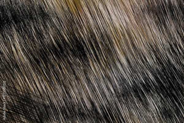 Fototapeta Abstract pattern graphic posters. Funky abstraction geometric texture print design, contemporary backgrounds minimal bold forms geometry shapes colorful ornaments. Vector set.