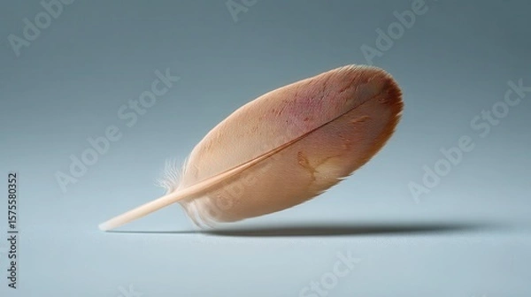 Fototapeta Delicate macro view of a single feather on a soft background showcases intricate details and textures. Chicken Boy Day