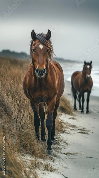 Fototapeta Horses strolling along the sandy beach under a moody sky near the ocean's edge in a coastal setting