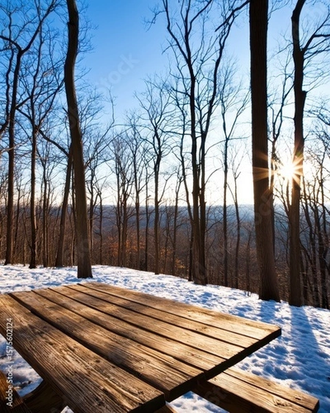 Fototapeta A wooden picnic table in a snowy forest with leafless trees and the sun shining through branches on a clear winter day.