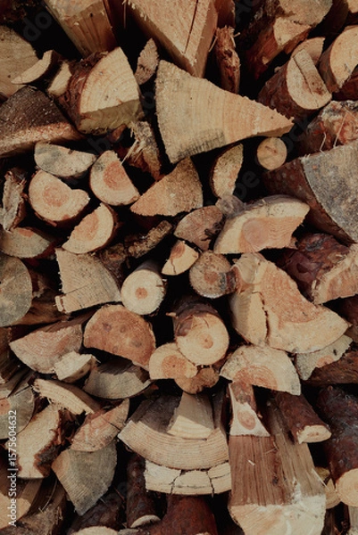 Fototapeta Stacked firewood background with textured logs. Cut firewood front view.