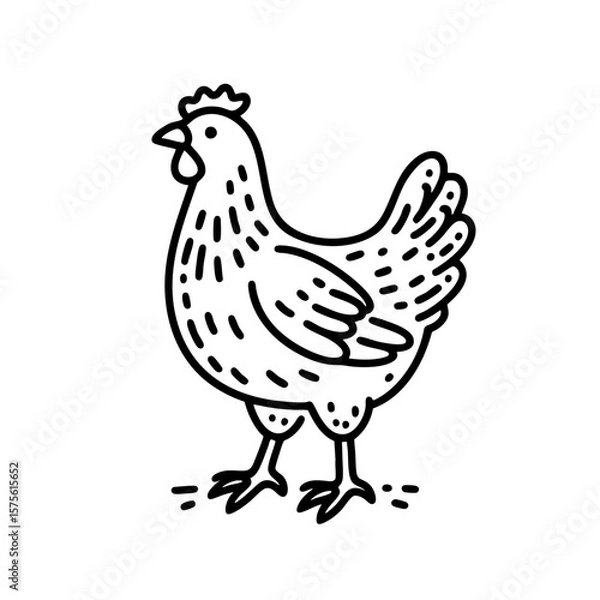 Obraz Elegant Line Art Chicken Illustration