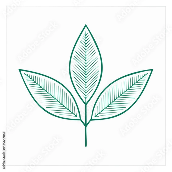 Obraz Stylized Illustration of Three Green Leaves on a Stem Simple Botanical Design
