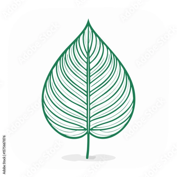Obraz Isolated Green Leaf Icon Design Detail Botanical Foliage Natural Graphic Element