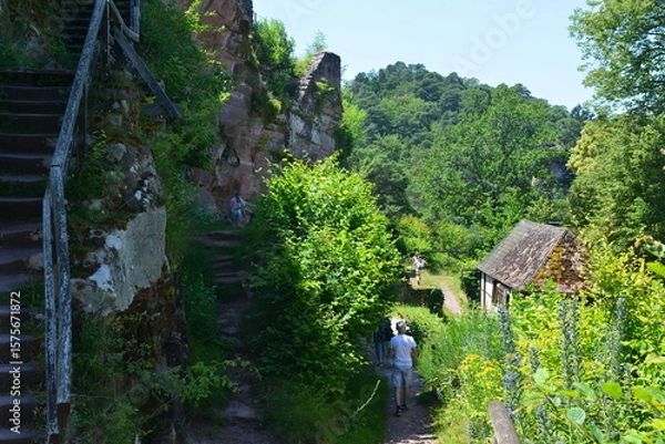 Obraz Pfälzer Wald_014
