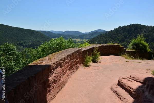 Obraz Pfälzer Wald_028