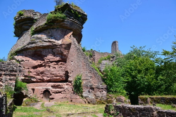 Obraz Pfälzer Wald_009
