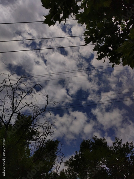 Obraz clouds in the sky