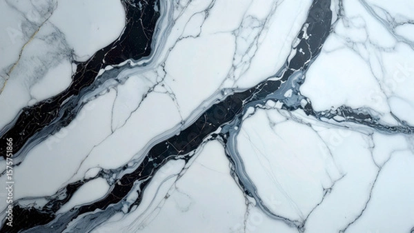 Obraz Marble black and white abstract background
