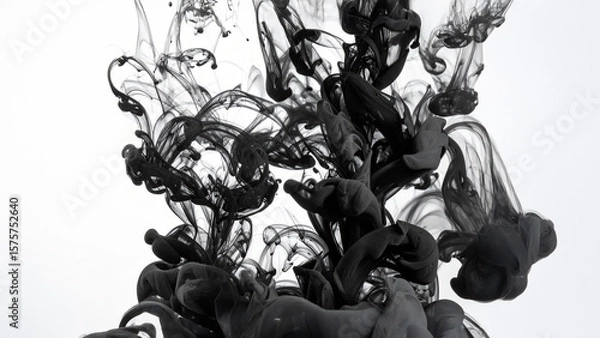 Obraz black and white background