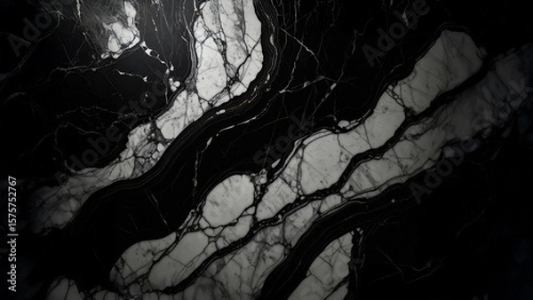 Obraz Marble black and white abstract background