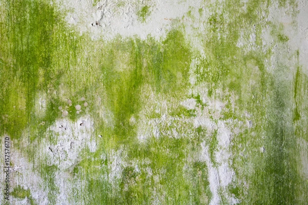 Obraz peeling paint pattern on mossy concrete wall texture