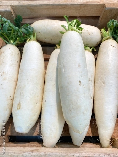 Obraz fresh vegetables on market