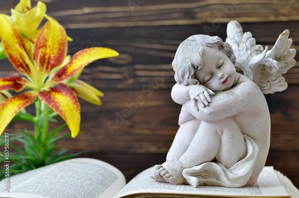 Obraz Angel guardian and lily flower