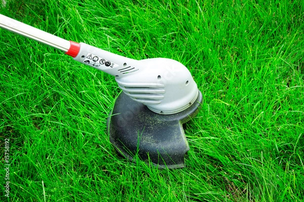 Fototapeta Cut Grass