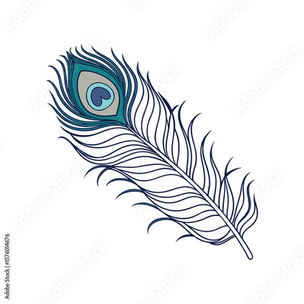 Obraz feather vector illustration