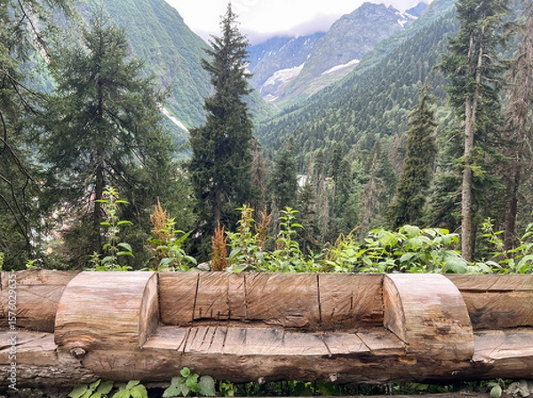 Fototapeta Carved bench in the shape of a natural log high in the mountains in a forest