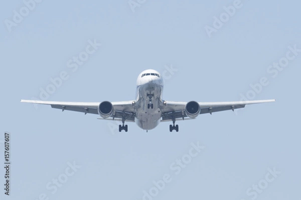 Fototapeta Aircraft in flight