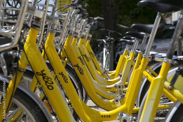 Obraz Les Vélos jaune de La Rochelle