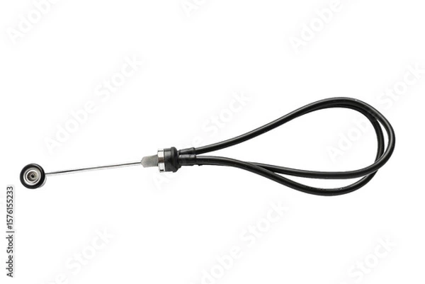 Obraz Endoscopic tool for internal diagnosis isolated on transparent background