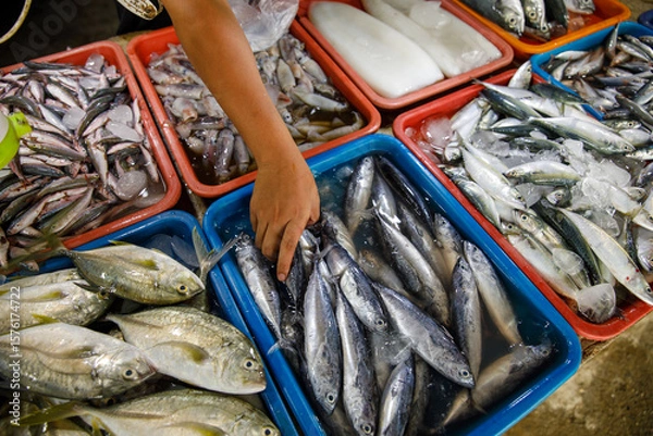 Obraz Explore the Fresh Seafood Display at the Local Market  A Haven for Culinary Enthusiasts