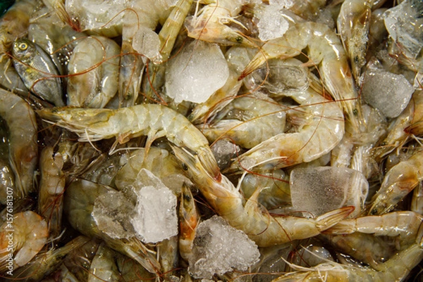 Obraz Fresh Shrimp for Seafood Lovers Discover A Culinary Delight Like No Other Today