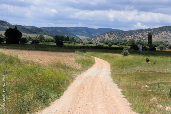 Obraz a path that stretches through beautiful nature