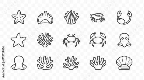 Obraz Collection of marine life icons including starfish crabs octopuses coral and shells in a simple line art silhouette style