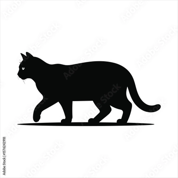 Obraz Black cat silhouette walking across a white background animal domestic cat