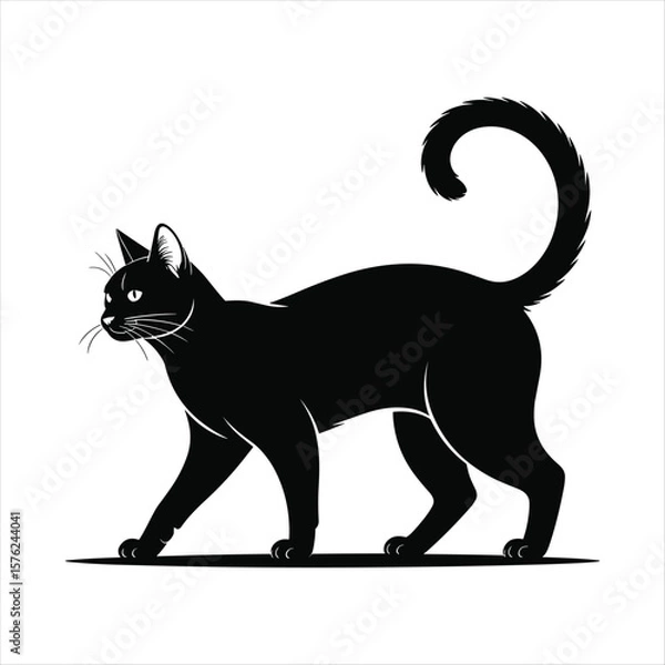 Obraz Black cat silhouette walking with curled tail on white background animal